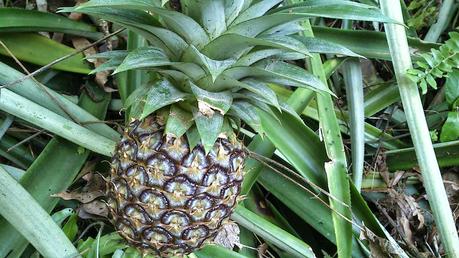 Ten years went by and…. Ten years went by and….