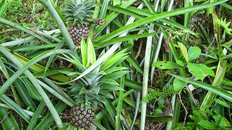 Ten years went by and…. Ten years went by and….