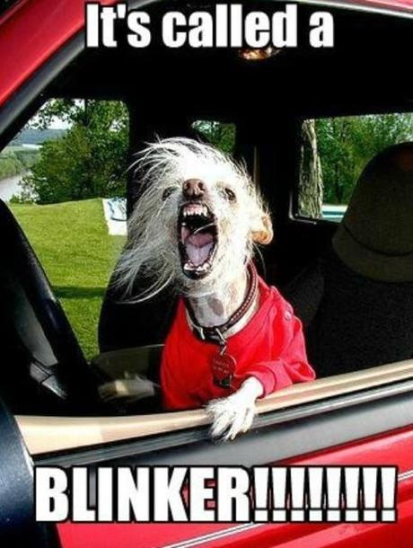 “Mad Max” Scenes! The School Run in China! School Run Blinker