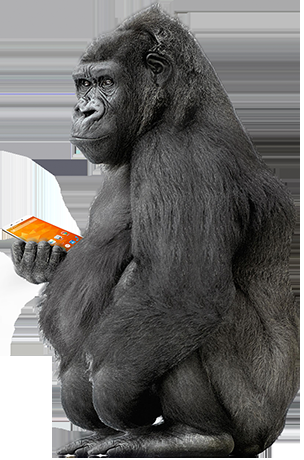 Micromax Canvas Spark - Built in Technology Micromax Canvas Spark - Built in Technology