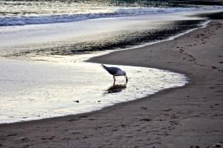 Winter sunrise at Noosa