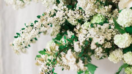 Spirea Branches & Peony Love Spirea Branches & Peony Love