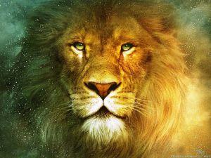 beautiful-lion-wallpapers-2560x1920