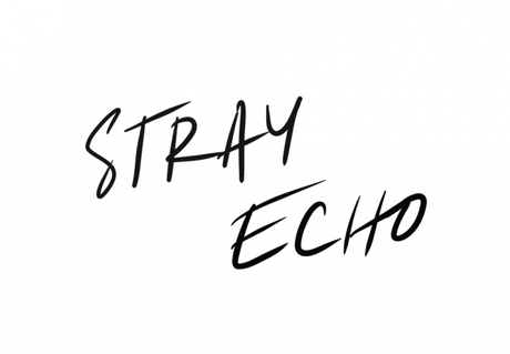 Stray Echo’s New Single Stays Grounded [Stream]