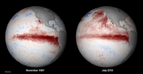 Possible Strongest El Nino on Record Gets Another Kick From Upper Ocean Heat el-nino-noaa-photo-july-2015