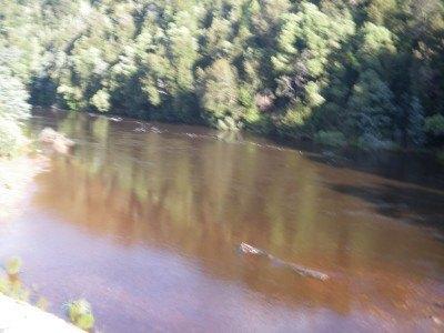 100 Places I Backpacked Through That You’ve Never Heard Of, in Australia The river at Campspur