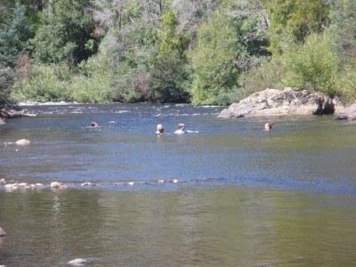 100 Places I Backpacked Through That You’ve Never Heard Of, in Australia The waters of Latrobe where you can view the duck billed platypus