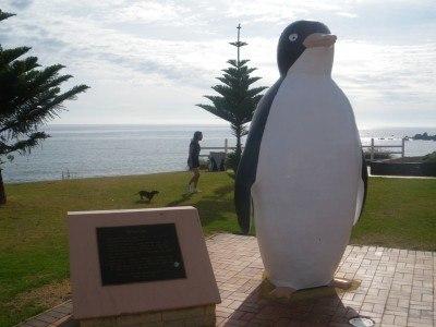 100 Places I Backpacked Through That You’ve Never Heard Of, in Australia Penguin, Tasmania