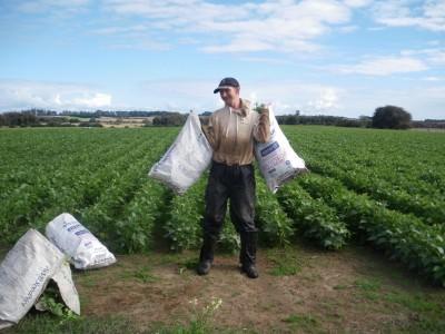 100 Places I Backpacked Through That You’ve Never Heard Of, in Australia Weeding in Wesley Vale, Tasmania 2010
