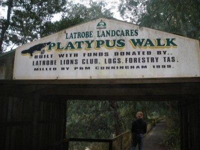 100 Places I Backpacked Through That You’ve Never Heard Of, in Australia Platypus Walk in Latrobe