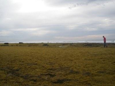 100 Places I Backpacked Through That You’ve Never Heard Of, in Australia Bell's Beach in Victoria