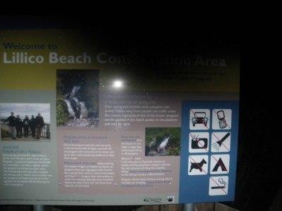 100 Places I Backpacked Through That You’ve Never Heard Of, in Australia Lillico Beach, looking for penguins.