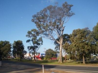 100 Places I Backpacked Through That You’ve Never Heard Of, in Australia Bairnsdale, Victoria