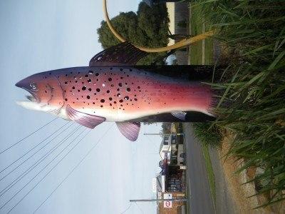 100 Places I Backpacked Through That You’ve Never Heard Of, in Australia The famous fish monument in Cressy