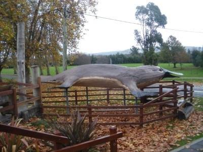 100 Places I Backpacked Through That You’ve Never Heard Of, in Australia Platypus Centre