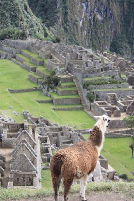 Taken in July of 2011 at Machu Picchu