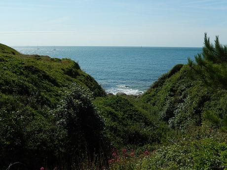 Dorset Coastal Walk – Winspit to Old Harry Rocks (Part 1)