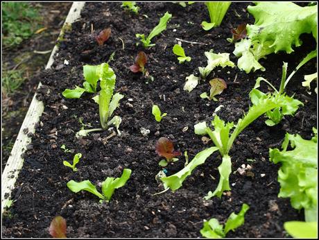 Chalk and cheese - or is it the sublime and the ridiculous? Chalk and cheese - or is it the sublime and the ridiculous?