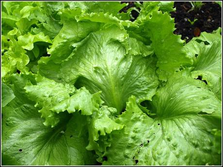 Chalk and cheese - or is it the sublime and the ridiculous? Chalk and cheese - or is it the sublime and the ridiculous?