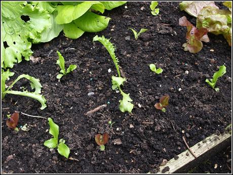 Chalk and cheese - or is it the sublime and the ridiculous? Chalk and cheese - or is it the sublime and the ridiculous?