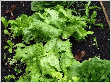 Chalk and cheese - or is it the sublime and the ridiculous? Chalk and cheese - or is it the sublime and the ridiculous?