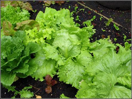 Chalk and cheese - or is it the sublime and the ridiculous? Chalk and cheese - or is it the sublime and the ridiculous?