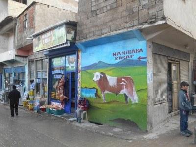 Backpacking in Turkey: Staying at the Hotel Tahran in Dogubayazit A cow mural in unusual