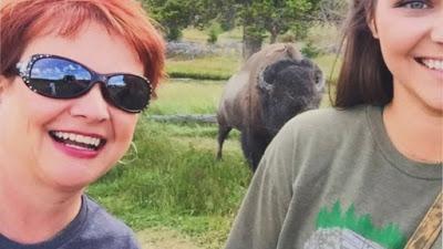 woman injured trying to get Selfie with bison at Yellowstone National Park