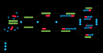 Social construction of technical knowledge Social construction of technical knowledge