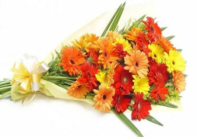 Choosing Flowers For A Newborn Choosing Flowers For A Newborn