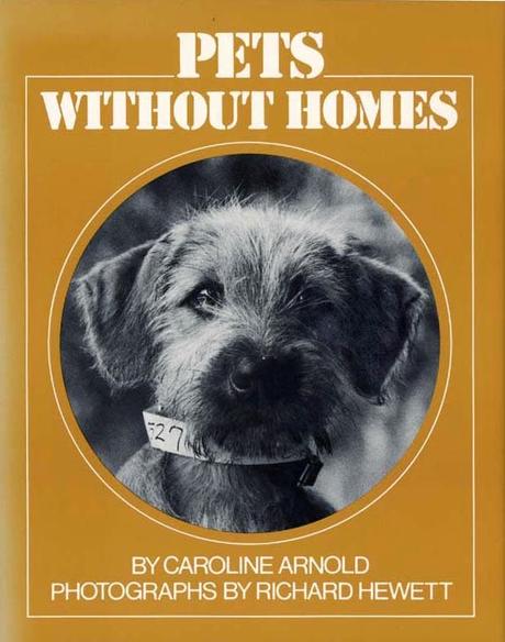 My Book PETS WITHOUT HOMES: How an Idea Was Born