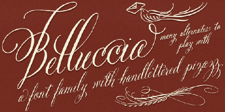 Belluccia Calligraphy Font by Debi Sementelli of Lettering Art Studio Belluccia font, calligraphy font, wedding font, script font, fancy font, cursive font,DIY wedding, fonts for weddings, fonts for invitations, most popular fonts, best sellling fonts, fancy fonts, fancy letters