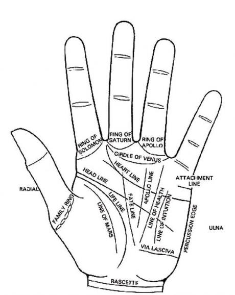 What is Palm Reading? – An ancient mystic art to Know Past, Present & Future