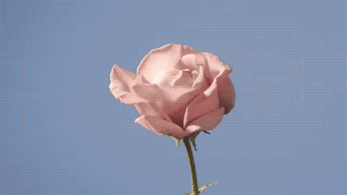 tumblr_m6edfl5Fgx1ryeq76o1_500 tumblr_m6edfl5Fgx1ryeq76o1_500