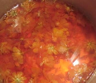 Dyeing with Cosmos Flowers