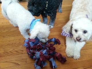 Make-Your-Own Dog Toys