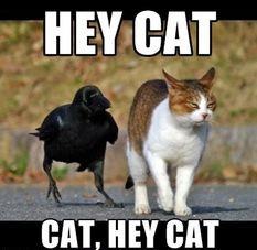 What is Home (2015) Really About? couple