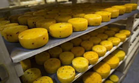 Russia bans and destroys - Cheese and other western-made foods !
