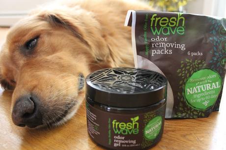 Removing pet odors with Fresh Wave gel