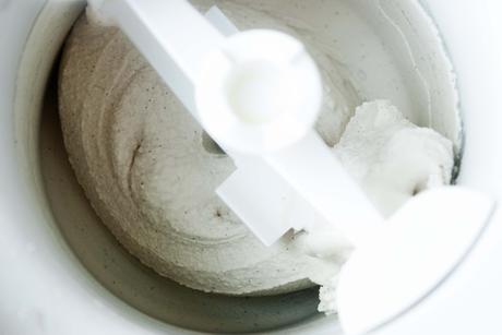 Coconut and Dulce de Leche Ice Cream Coconut and Dulce de Leche Ice Cream