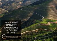 Win a Portuguese Wine Harvest Experience
