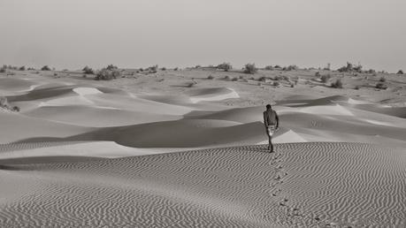 Jaisalmer Chronicles: Desert Safari & Camels!