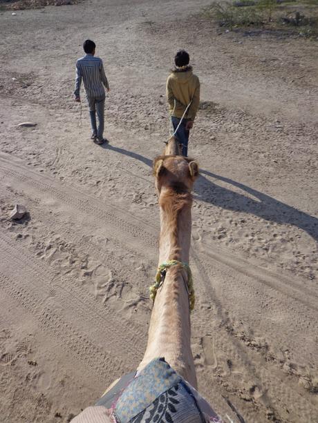 Jaisalmer Chronicles: Desert Safari & Camels!