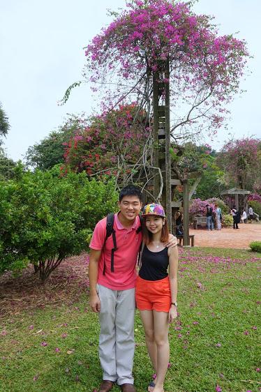 Singapore Botanic Garden