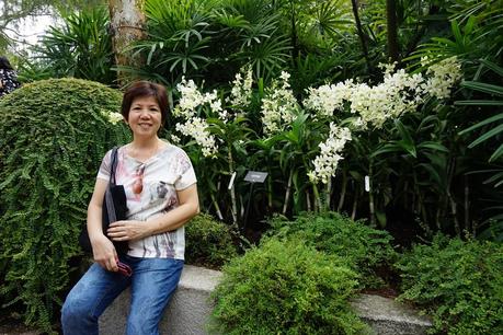 Singapore Botanic Garden