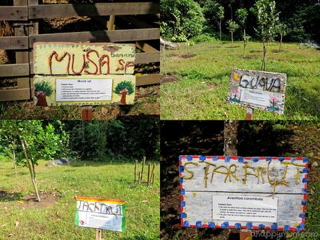 The rustic beauty of Pulau Ubin {Tips for a family visit} The rustic beauty of Pulau Ubin {Tips for a family visit}