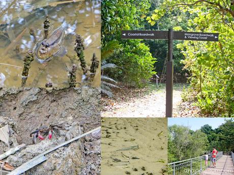The rustic beauty of Pulau Ubin {Tips for a family visit} The rustic beauty of Pulau Ubin {Tips for a family visit}