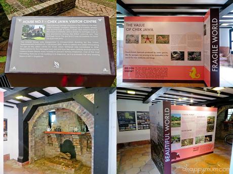 The rustic beauty of Pulau Ubin {Tips for a family visit} The rustic beauty of Pulau Ubin {Tips for a family visit}