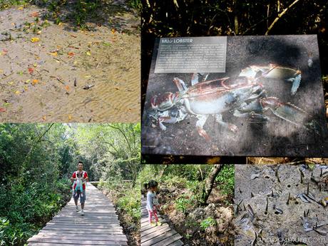The rustic beauty of Pulau Ubin {Tips for a family visit} The rustic beauty of Pulau Ubin {Tips for a family visit}