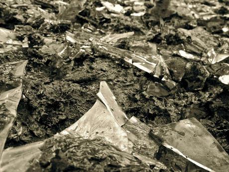 Mud and Ice. Story of my life really... Hermitage of Braid, Edinburgh
